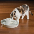 The 72-Ounce Ceramic Pet Fountain